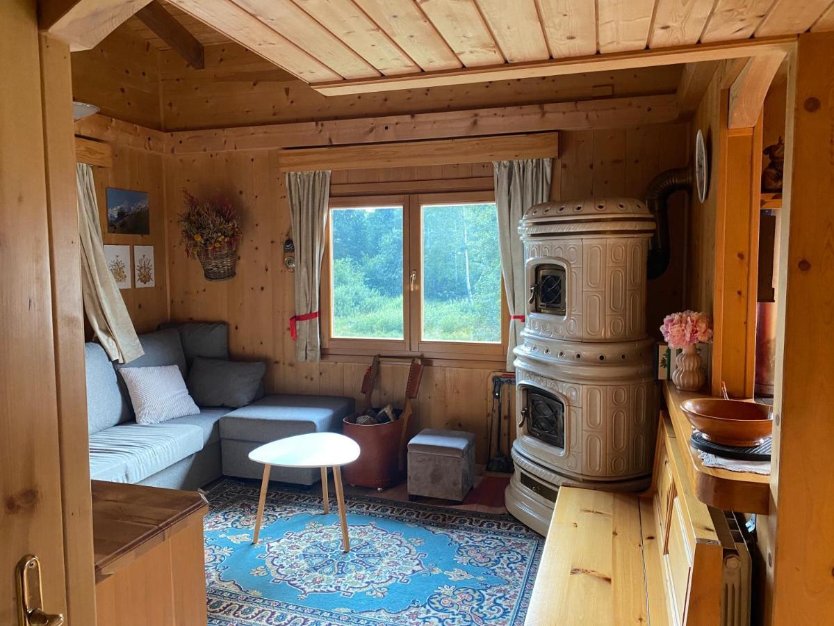 Chalet Joen Ski & Bike Andalo Bagian luar foto